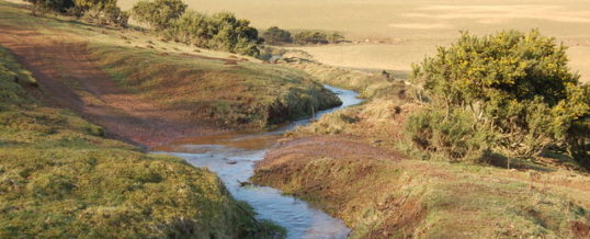 The Clean Water Rule: Repeal or Revise